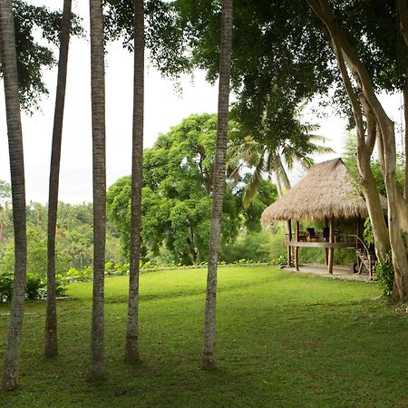 Kamaniiya River Villa Sayan - Ubud Exterior photo