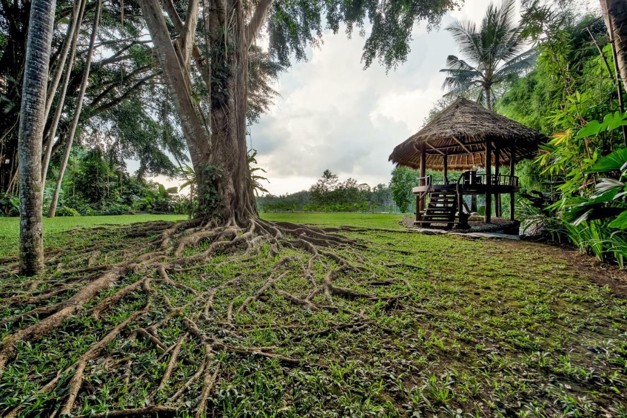 Kamaniiya River Villa Sayan - Ubud Exterior photo